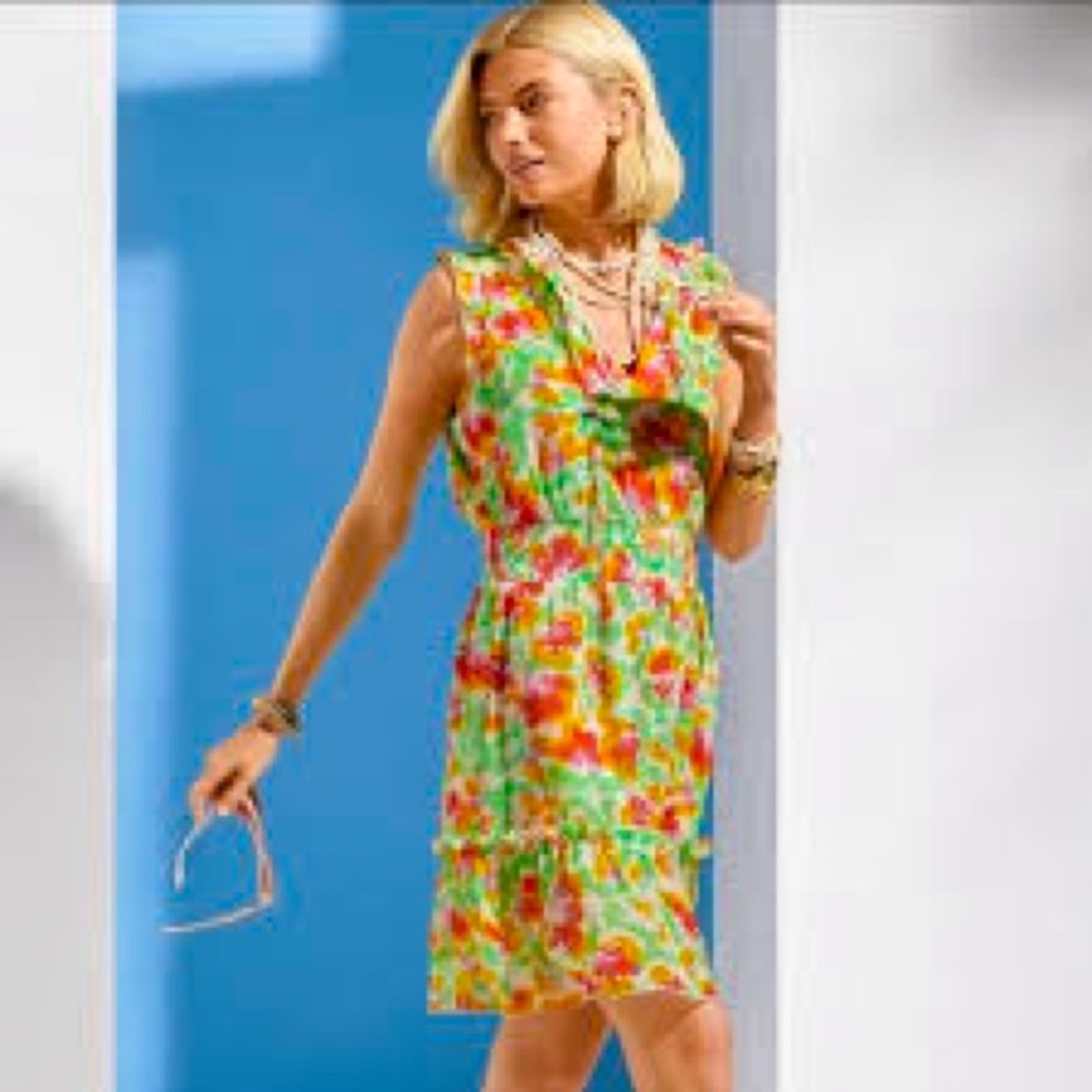 Cabi Spirit Dress